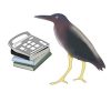 Blue Heron Bookkeeping for Small Business
